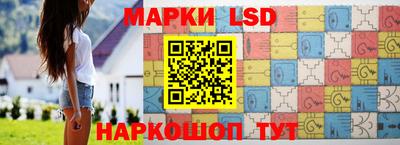 прущие грибы Кандалакша