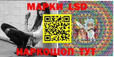 прущие грибы Кандалакша