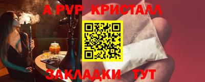 прущие грибы Кандалакша