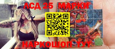 прущие грибы Кандалакша