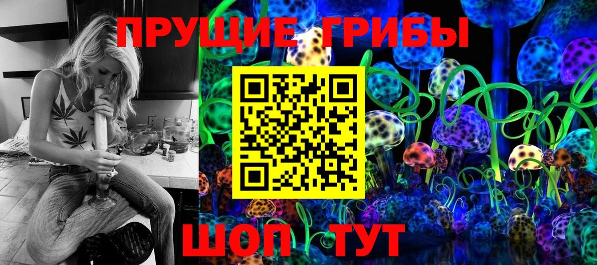 Галлюциногенные грибы Psilocybe  Вход с VPN  Курчалой 